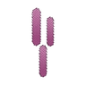 L&C Digital